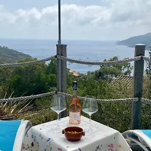 Appartement Les Oreades, Studio Le Marin Avec Vue Mer Imprenable, Île du Levant